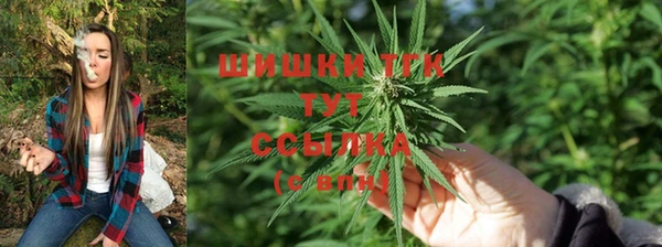 2c-b Пролетарск