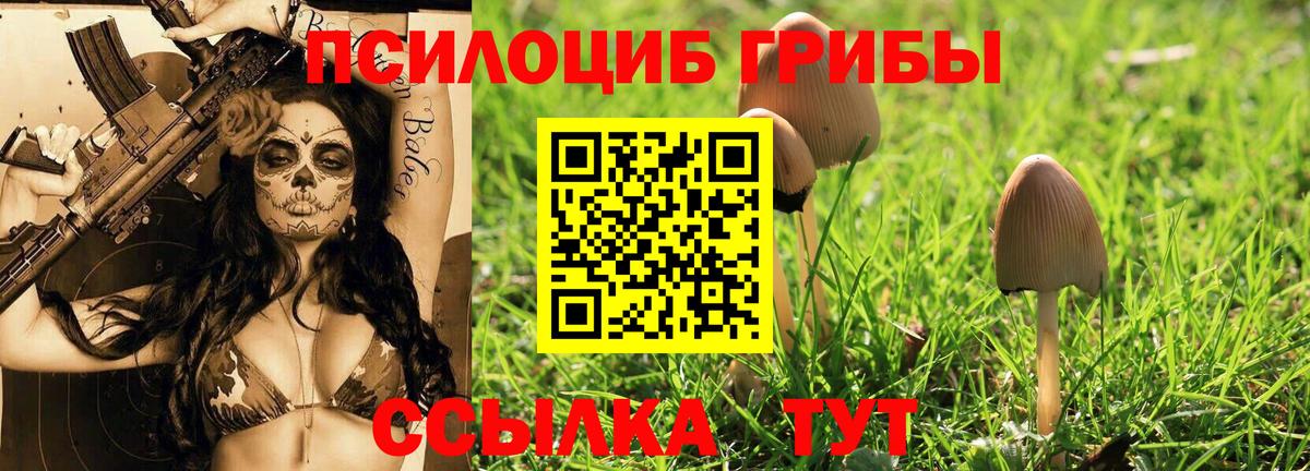 Зеленодольск  Псилоцибиновые грибы Magic Shrooms  Вход с VPN  Галлюциногенные грибы ЛСД 